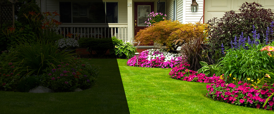 Red Bluff Landscapers