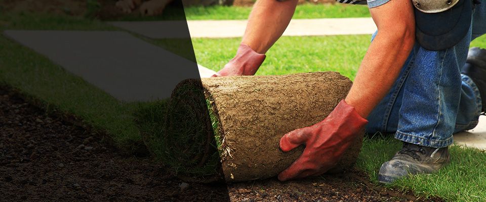 Red Bluff Landscapers
